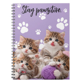 Kitten Stay Pawsitive Notebook Anteckningsbok