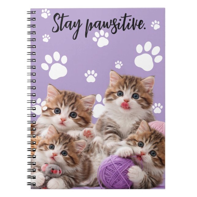 Kitten Stay Pawsitive Notebook Anteckningsbok (Framsidan)