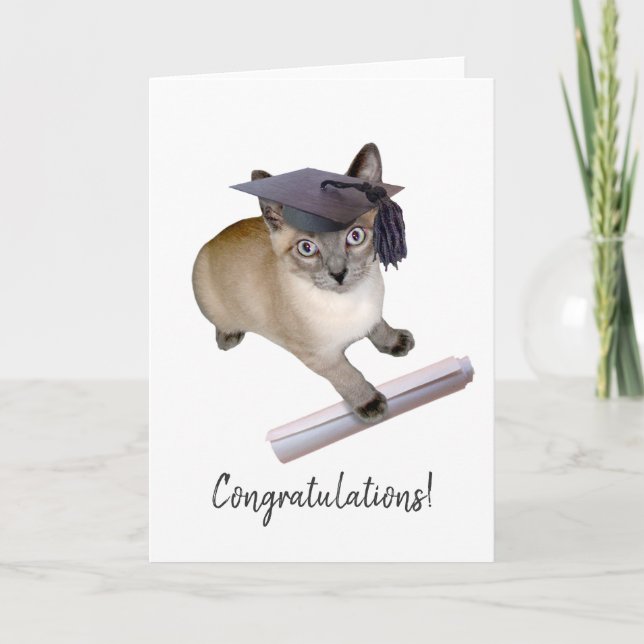 Kitten Studenten Card Kort (Framsida)
