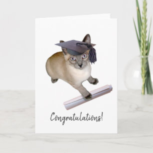 Kitten Studenten Card Kort