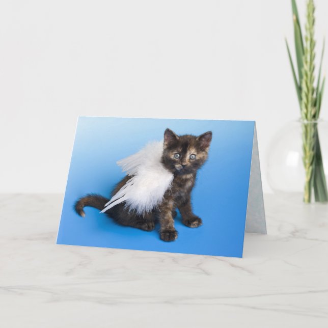 Kitten Sympathy Card Kort (Framsida)