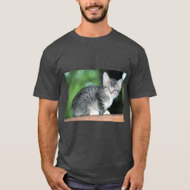 Kitten T Shirt