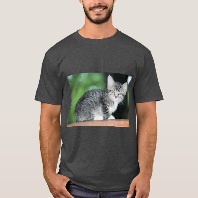 Kitten T Shirt (Framsida)