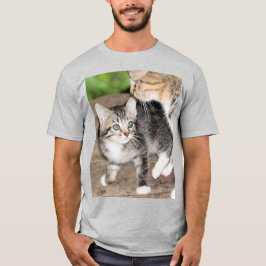 Kitten T Shirt