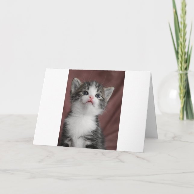 Kitten Tack Kort (Framsida)
