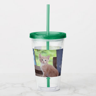 Kitten Take Away Mugg