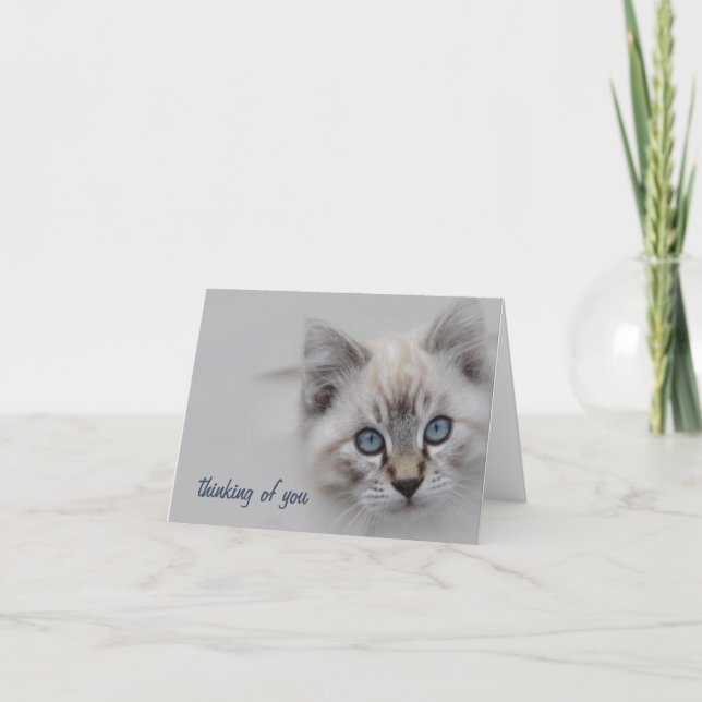 Kitten Thinking of You Card - Anpassade Tack Kort (Framsida)