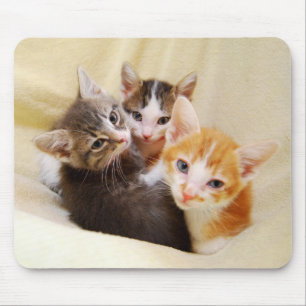 Kitten Trio Mousepad Musmatta