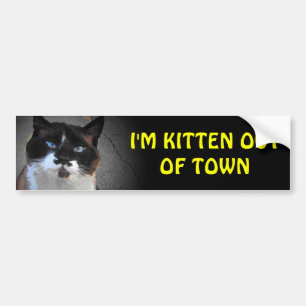 Kitten ut ur egen RV-vaccination Bildekal