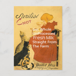 Kitten Vintage Mjölk Poster Vykort