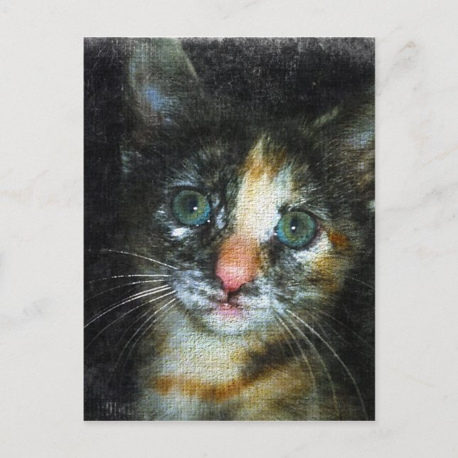 Kitten Vykort (Framsida)