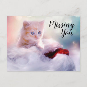 Kitten Vykort