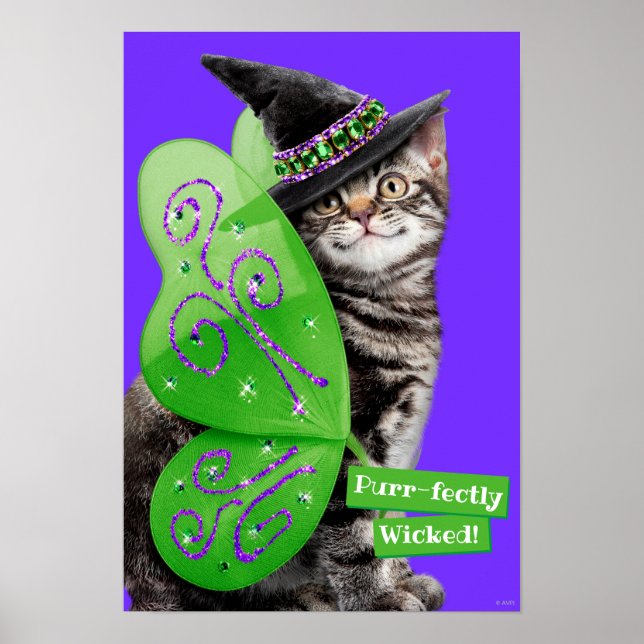 Kitten Witch Fairy Poster (Framsidan)