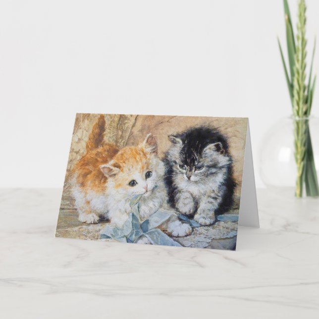 Kittens, 1893 kort (Framsida)