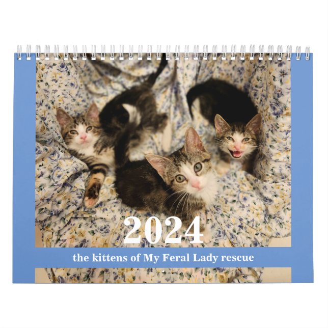 Kittens! 2024 Min Feral Dam-kattkalender Kalender (Omslag)