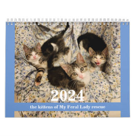 Kittens! 2024 Min Feral Dam-kattkalender Kalender