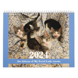 Kittens! 2024 Min Feral Dam-kattkalender Kalender