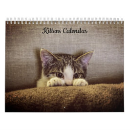 Kittens 2026-kalender kalender