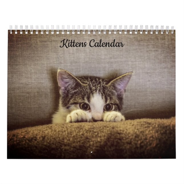 Kittens 2026-kalender kalender (Omslag)