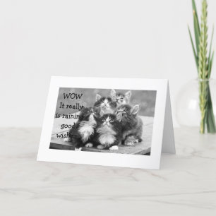 KITTENS ALLA ÖVERENS OM ATT VI BÖR HA GRATTIS PÅ F KORT