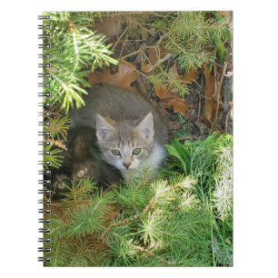 Kittens Anteckningsbok