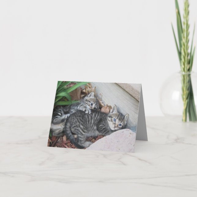 Kittens anteckningskort (Framsida)
