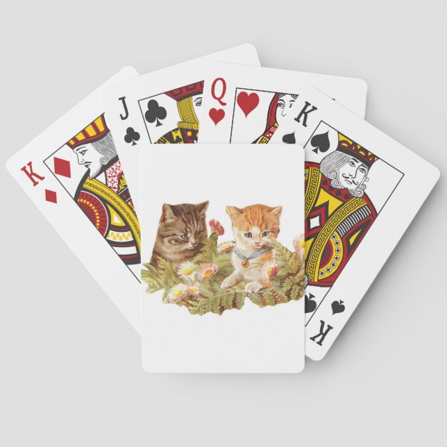 Kittens Casinokort (Baksidan)