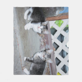 Kittens Fleecefilt