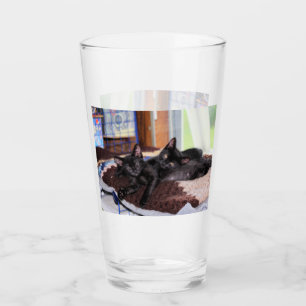 Kittens Glaskopp
