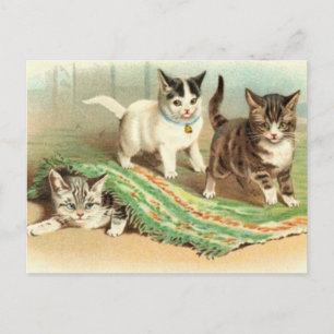 Kittens Gömmer och söker Vykort