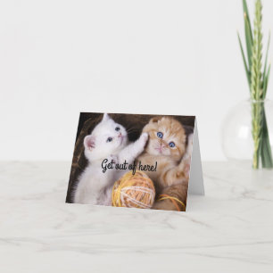 Kittens Grattis på födelsedagen-kort Kort