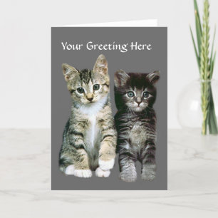 Kittens hälsningskort kort
