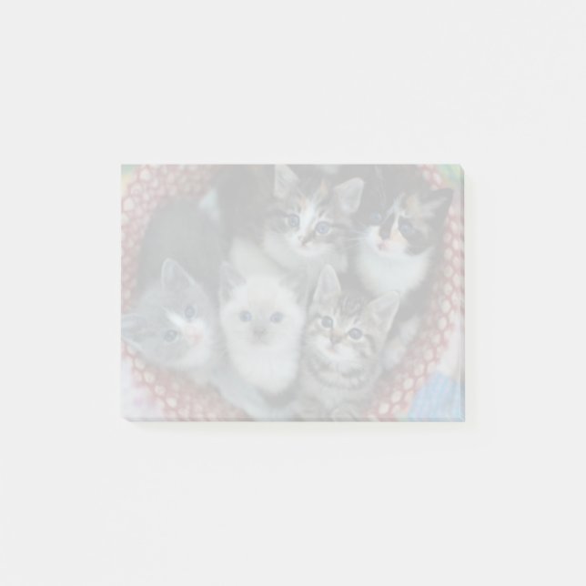 Kittens i A Basket Post-it Block (Framsida)