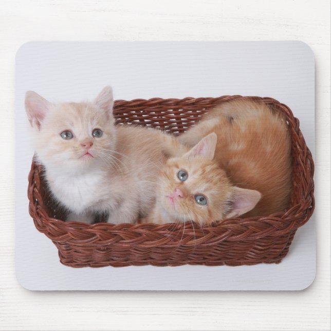Kittens i basket musmatta (Framsidan)