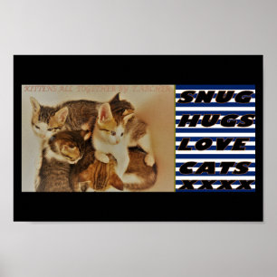 Kittens i bild original poster