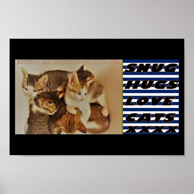 Kittens i bild original poster (Framsidan)