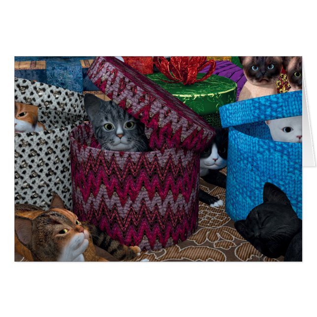 Kittens i boxar hälsningskort (Framsidan Horizontal)