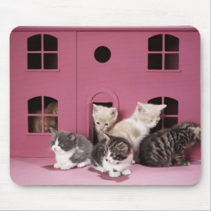 Kittens i dockans hus musmatta