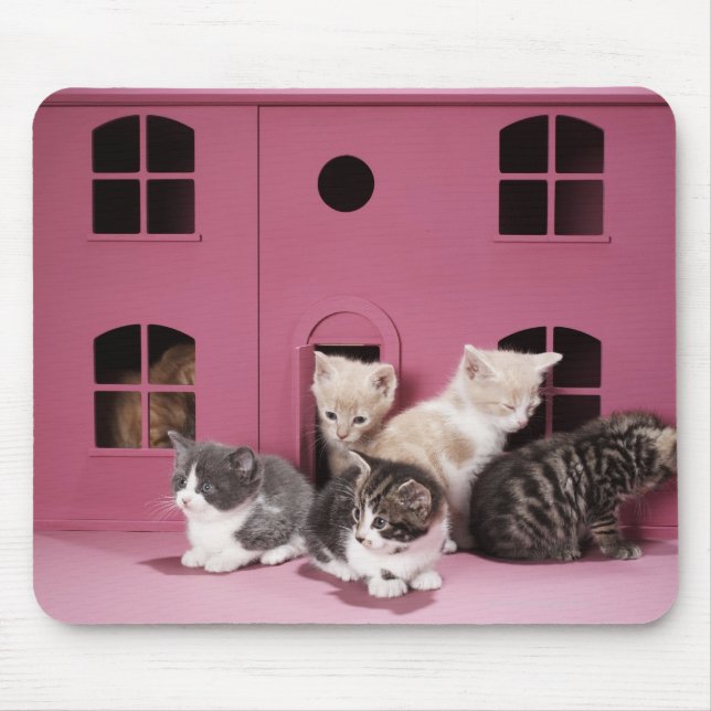 Kittens i dockans hus musmatta (Framsidan)