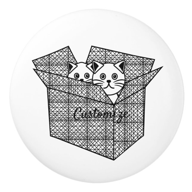 Kittens i en box Thunder_Cove Knopp (Framsidan)