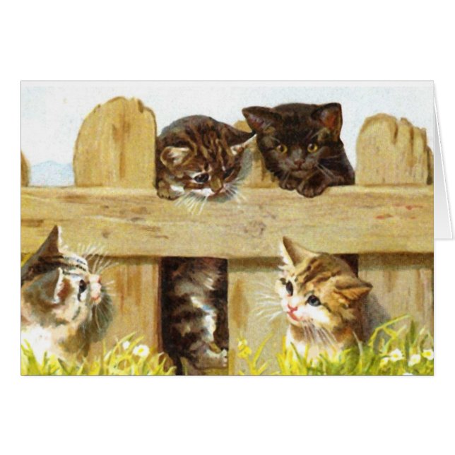 Kittens i ett staket hälsningskort (Framsidan Horizontal)