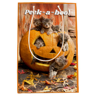 Kittens i Jack-o-Lantern