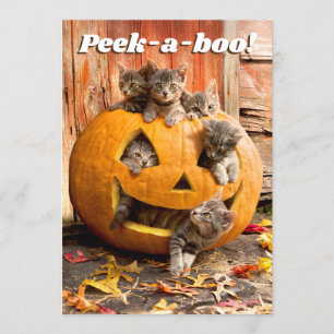 Kittens i Jack-o-Lantern Inbjudningar