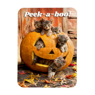 Kittens i Jack-o-Lantern Magnet