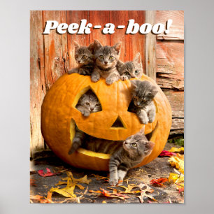 Kittens i Jack-o-Lantern Poster