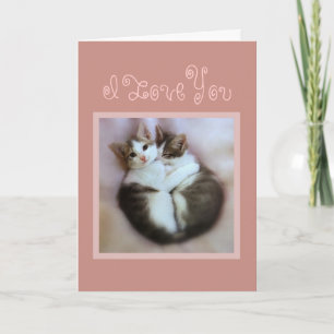 Kittens i Kärlek Kort
