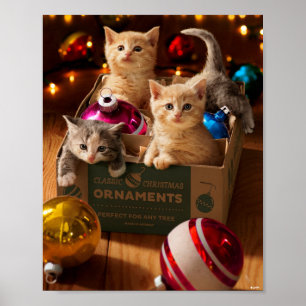 Kittens i namnrutan poster