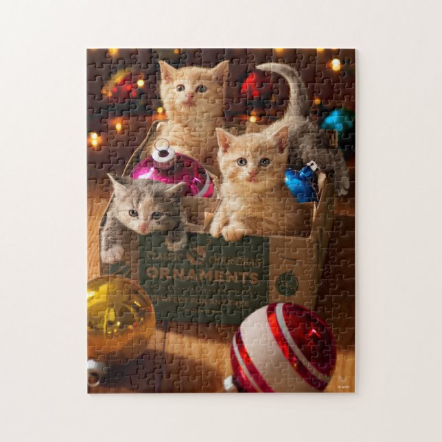 Kittens i namnrutan pussel (Vertikal)