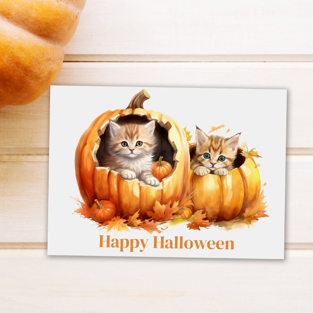 Kittens i Pumpkins Halloween Vykort (Cute Kitten in Pumpkin Halloween Postcard on white table next to a pumpkin)
