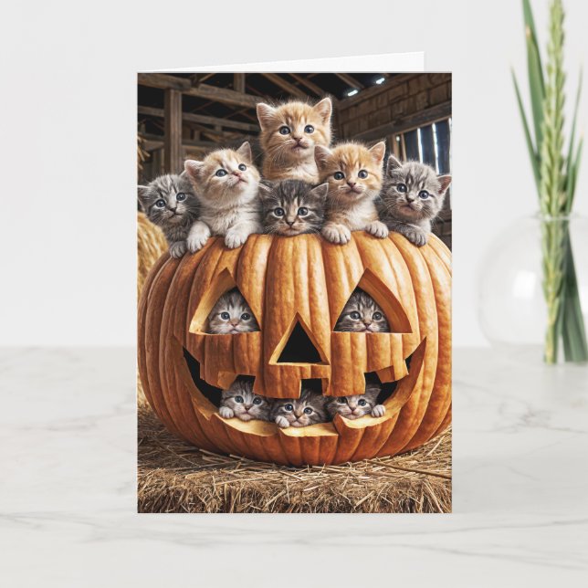 Kittens in Halloween Pumpkin Kort (Framsida)